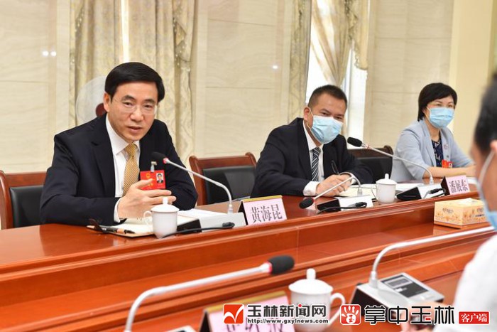 县,容县代表团审议时强调 4月29日,玉林市委书记黄海昆来到容县代表团