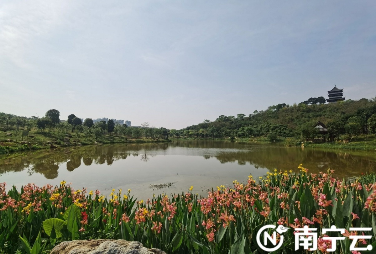 南宁植物园在青秀山风景区揭牌 将建成"国际知名,国内