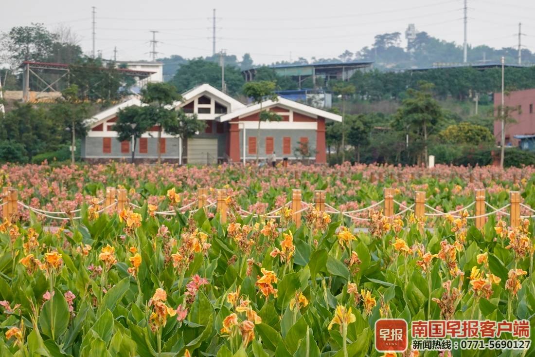 5月3日焦点图南宁这些网红取景地你打卡了吗218