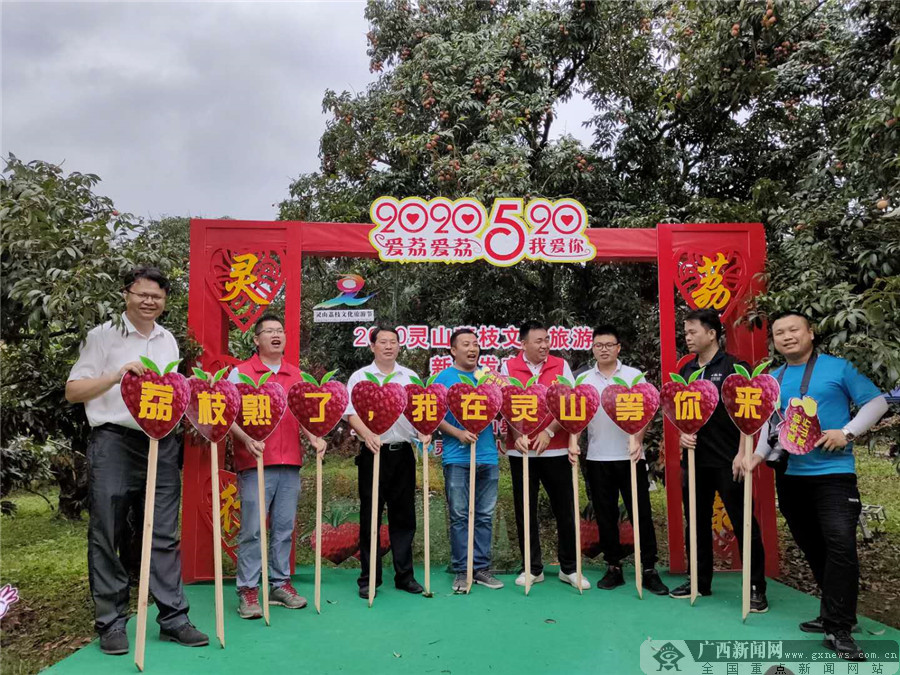 2020广西灵山荔枝文化旅游节将于6月启幕55