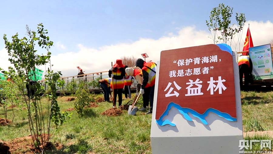 如何成为志愿者:一份新手指南