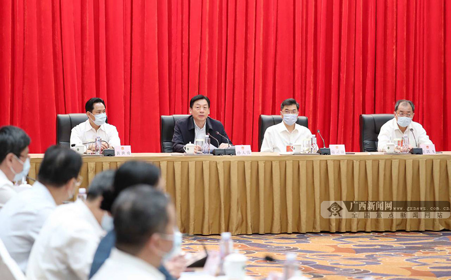 广西代表团总结履职情况 孙大伟讲话