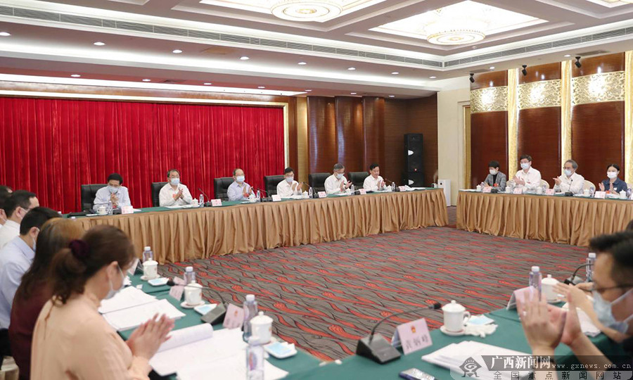 广西代表团审议各项决议草案 鹿心社等参加审议