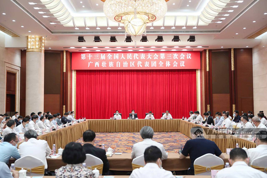 广西代表团总结履职情况 孙大伟讲话