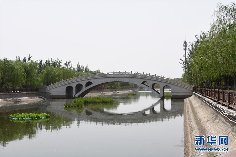 杨柳青青河水清天津西青古运河畔新变化