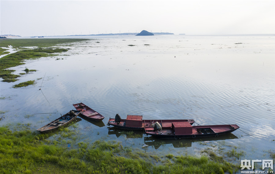 强降雨致江西鄱阳湖水位快速回升