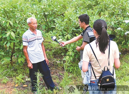 千名记者一线行大型主题采访活动纪实
