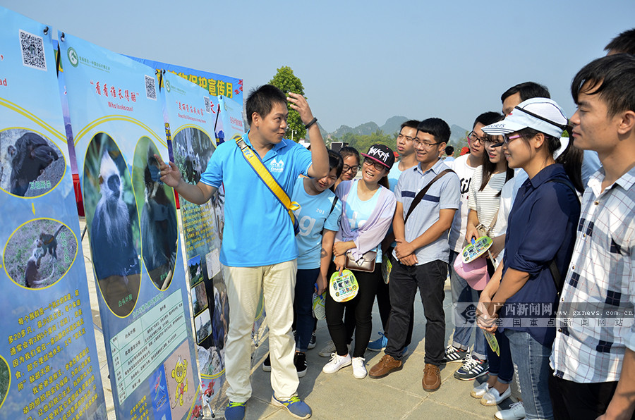 广西强化野生动物保护 现有野生陆栖脊椎动物总数居全国第三