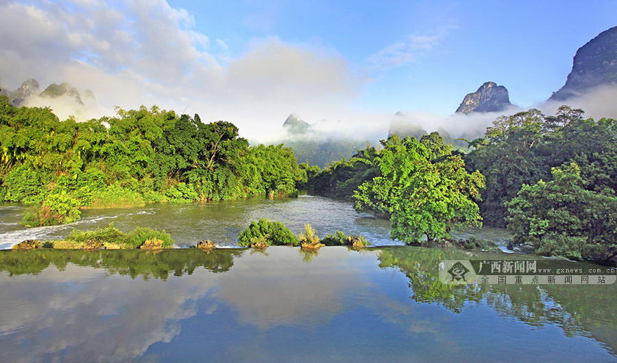 广西强化野生动物保护 现有野生陆栖脊椎动物总数居全国第三