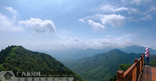 六万山森林公园美景.广西新闻网记者 谢冬梅 摄