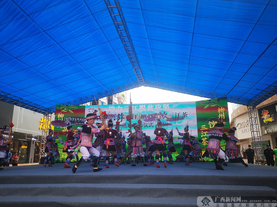 “柳州人游三江、柳州人饮三江茶”活动正式启动（最新发布）