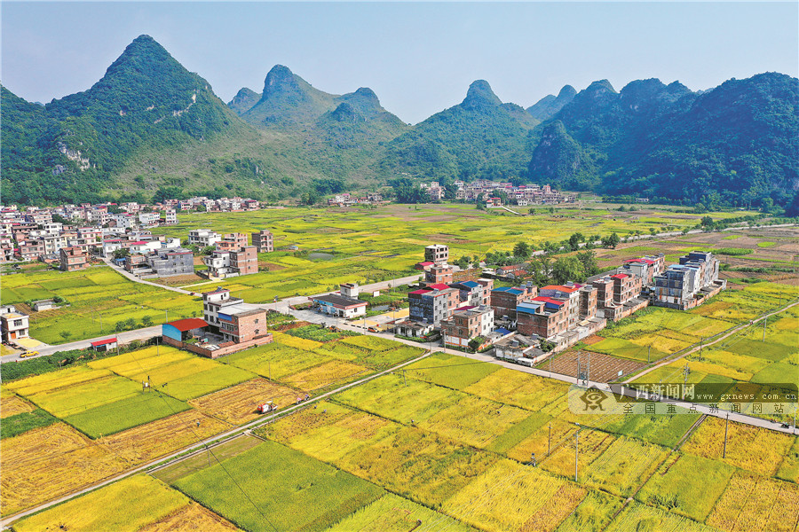 连日来,河池市宜州区三岔镇合林九浪花景区引来不少游客前来游玩.