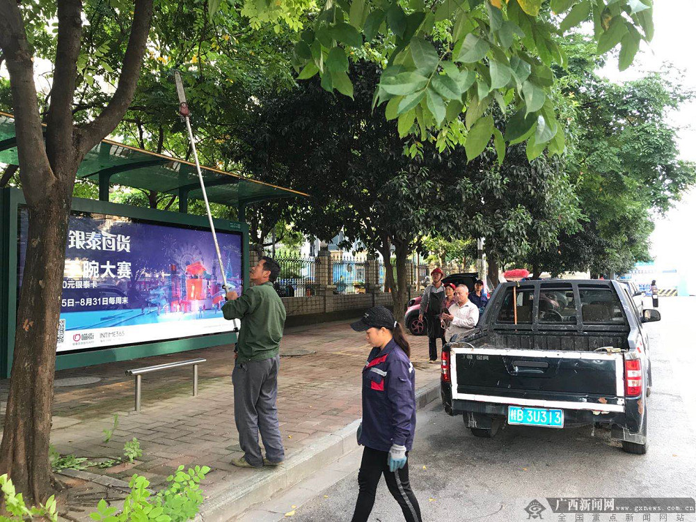 柳州市鱼峰区绿化所：修剪行道树，提升景观成绩
