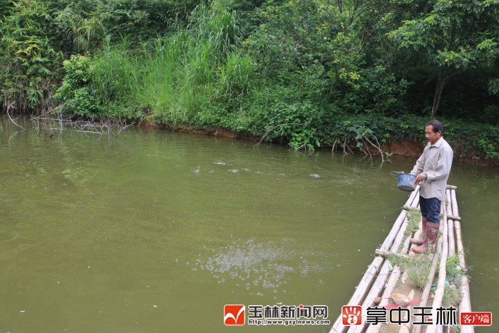 梁敏华 通讯员 钟丽容)8月24日,在北流市大坡外镇分水村关里组贫困户