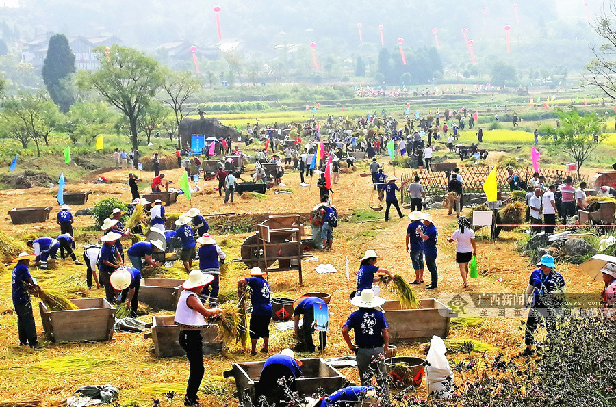 2020广西庆祝中国农民丰收节启幕