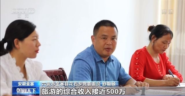 走向我们的小康生活丨安徽金寨大湾村的美丽蝶变