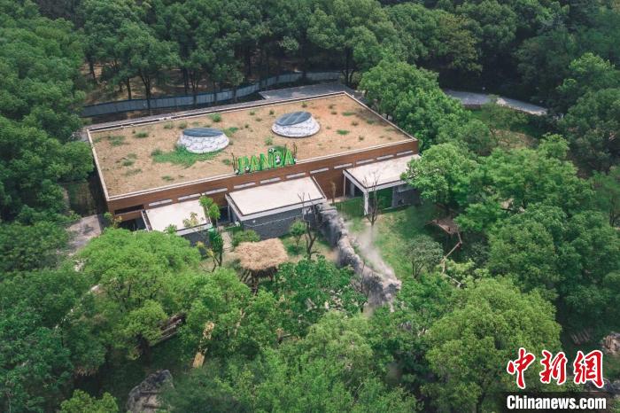 35岁的武汉动物园即将改造 公开征集"回忆游"故事