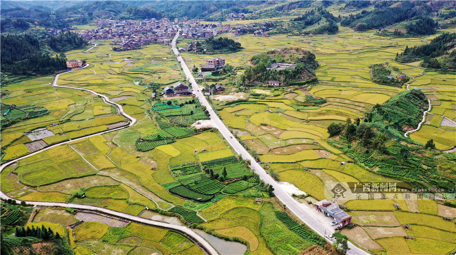 10月21日,无人机航拍的三江侗族自治县良口乡南寨村丰收景象.