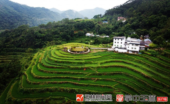 博白的GDP_全国第97名,其中一个单项全国第一!博白这份成绩单太亮了……