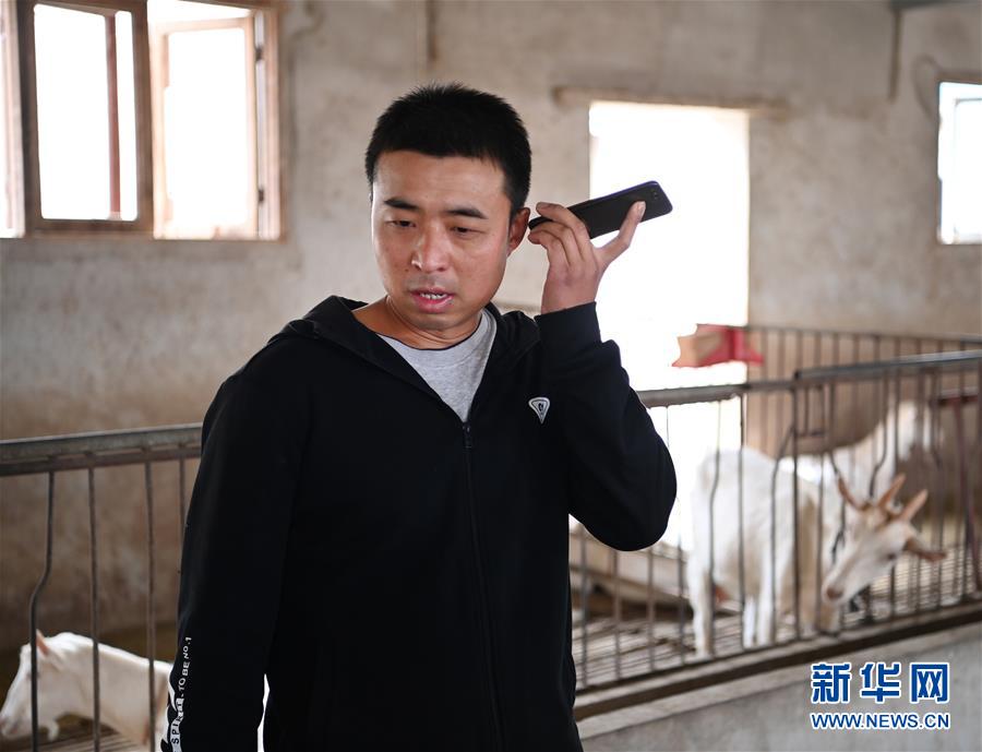 新华社记者陶明摄自动挤奶器,饲喂机,清粪机,b超机……这些让同村人