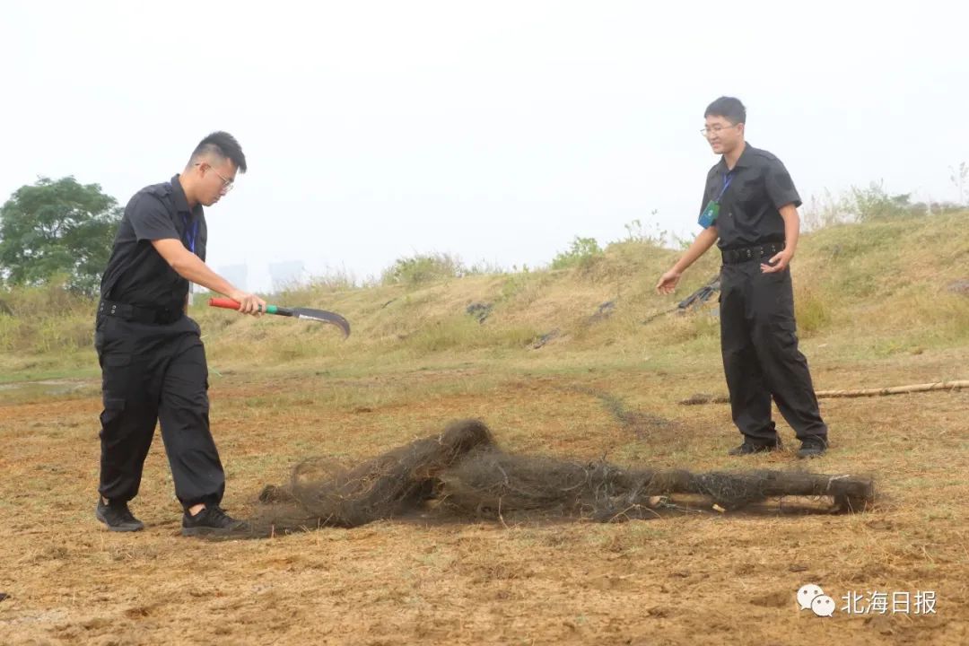 重重陷阱,全是人为的!北海捣毁湿地外围多处盗猎设备