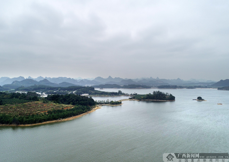 广西来宾市三利湖国家湿地公园野生鸟类眷恋的家