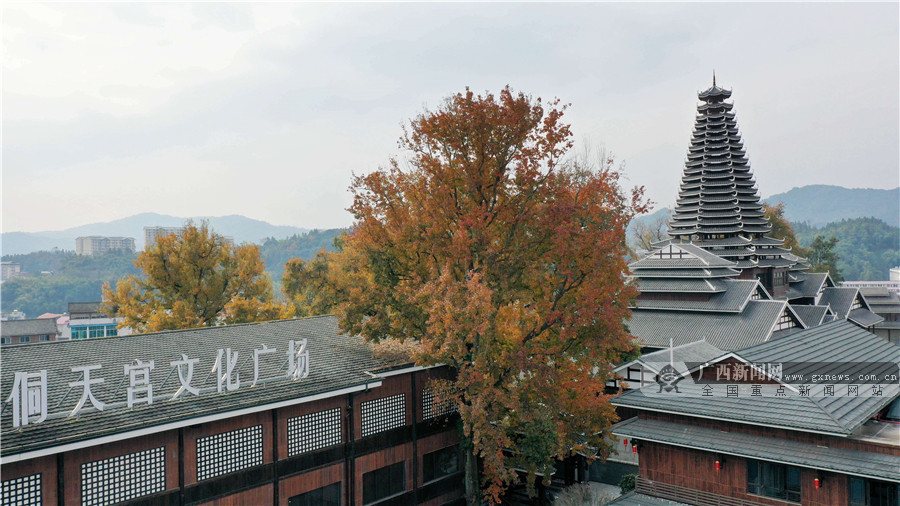 12月18日,无人机航拍的三江侗族自治县古宜镇侗天宫文化广场枫景如画.