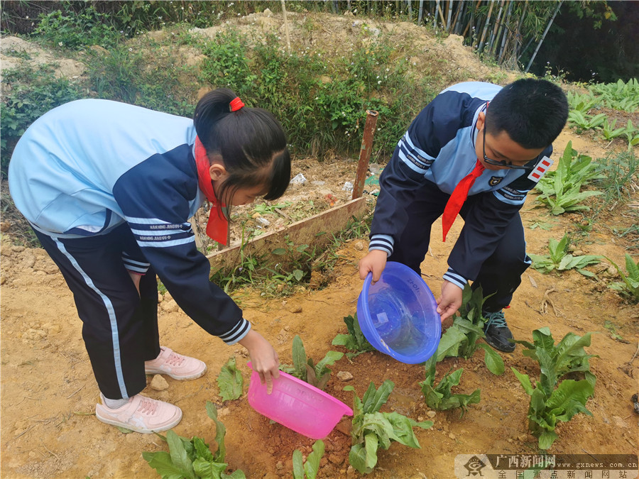 桂雅路小学桂雅校区少先队开展劳动实践活动(6/6)