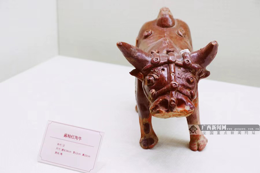 市民李女士与家人第一次来到南宁博物馆参观展览,她说"这个展览带给