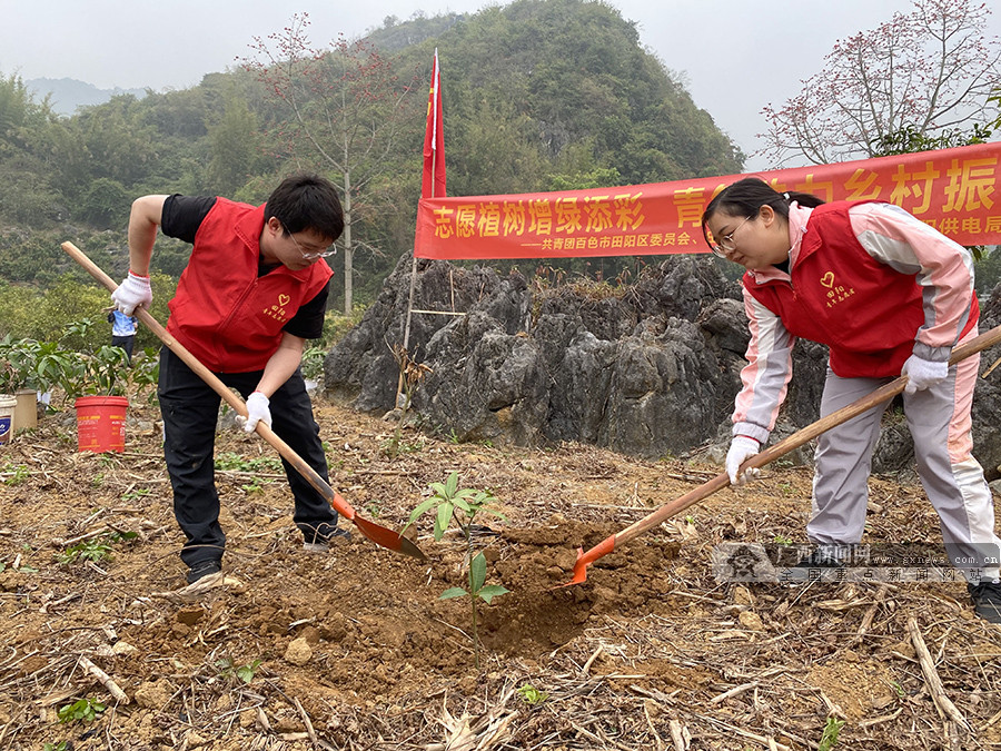 姚霞 摄广西新闻网百色3月9日讯(通讯员 陵丽清 梁嘉)在第43个植树节