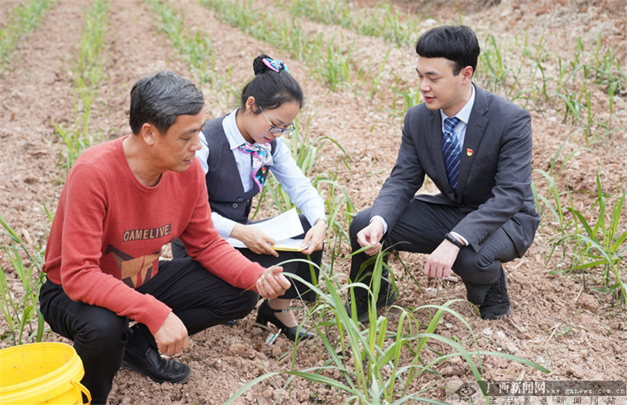 购买农机,化肥等生产物资资金需求,运用"惠农e贷"便捷,高效线上贷款