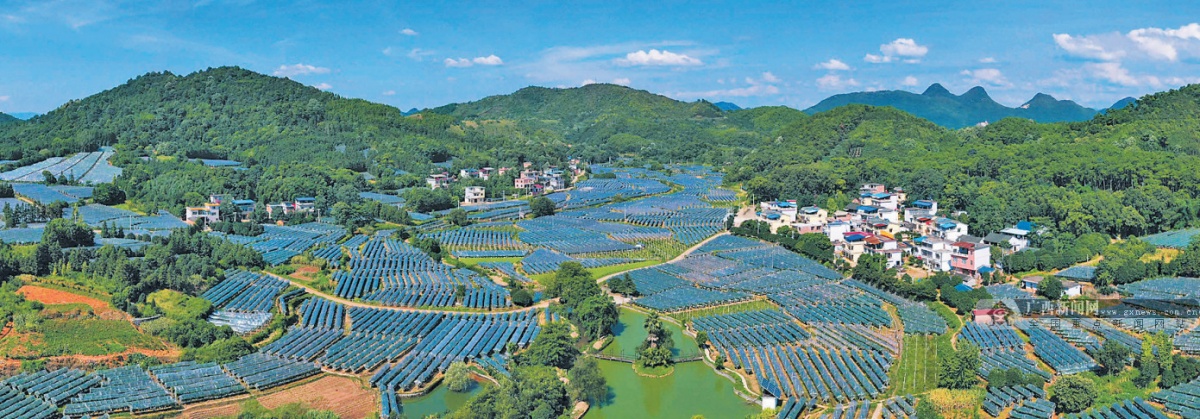 毛竹山村的幸福蝶变