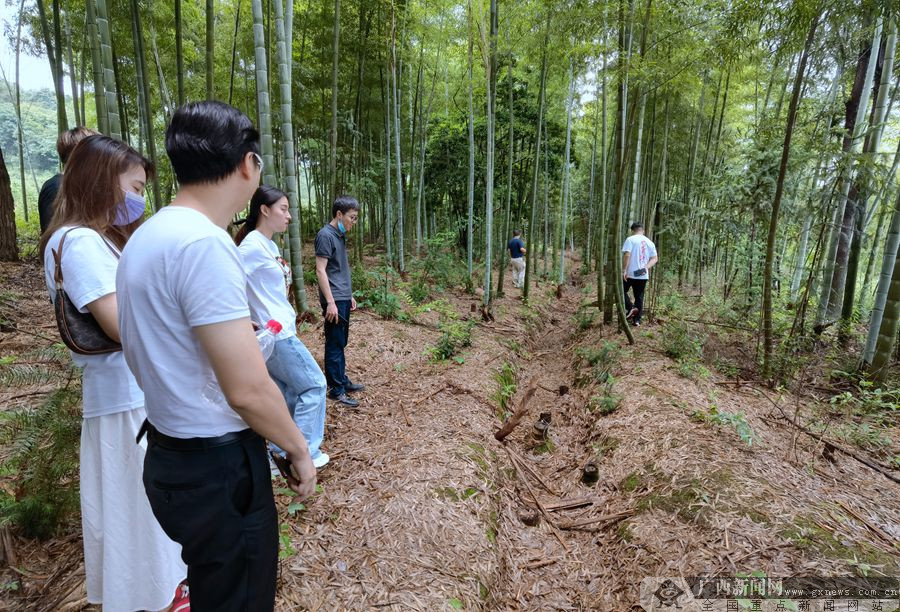 《打卡吧！年轻人》火热拍摄中 一起来打卡广西红色地标