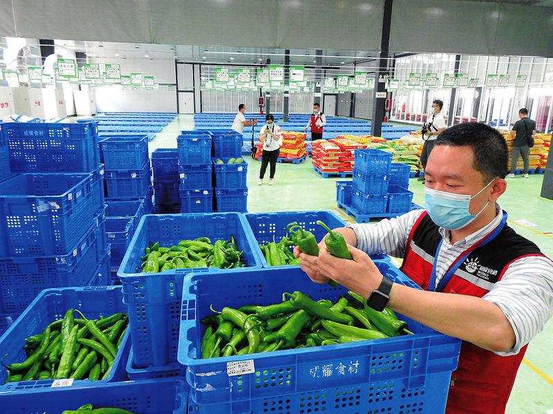 食品批发行业的现状与未来展望