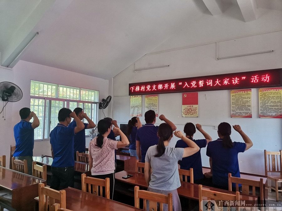 荔浦市杜莫镇下樟村开展党史学习教育