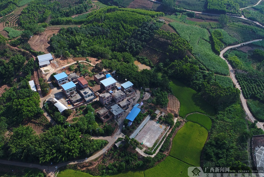 运动,或坐在凉亭上乘着晚风聊聊家常……这些都是南宁市邕宁区新江镇