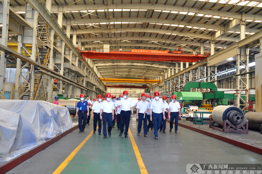 全区知识产权战略实施工作会议在百色召开