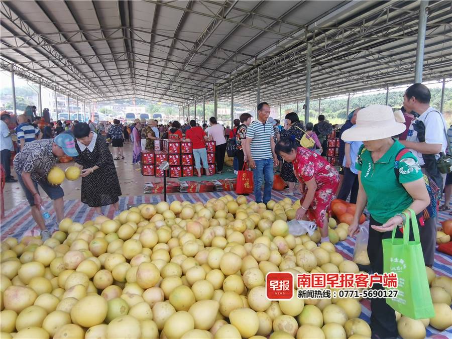 9月11日,武宣县东乡镇举办"柚丰收感党恩"——东乡镇欢庆2021年中国