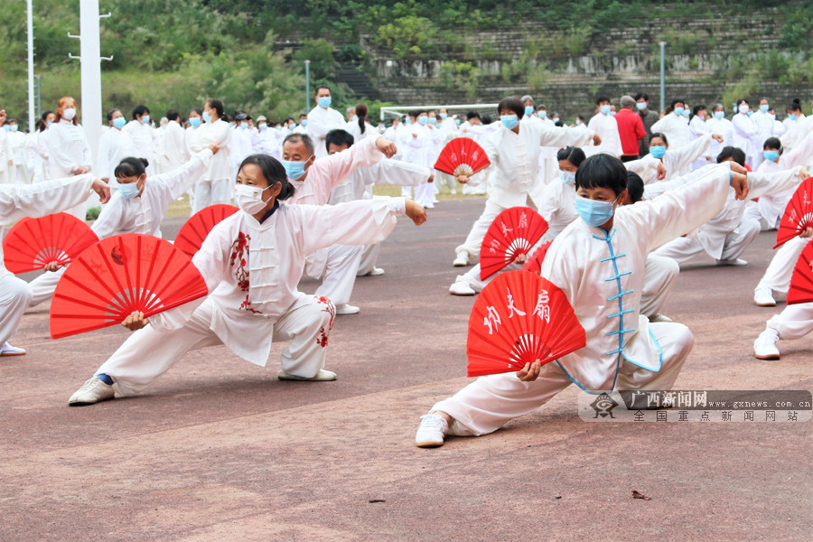 陶莉虹 杨蕊源)11月23日,由广西体育场主办的"为群众办实事"太极拳