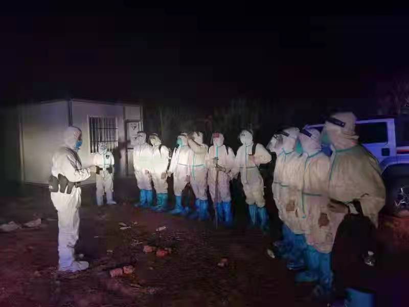 零容忍偷渡！崇左警方快速破获一起偷越国（边）境案