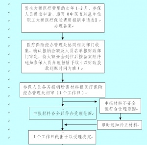 大額醫療費用報銷業務