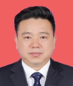 林冠当选贺州市人民政府市长