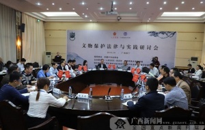 文物保护法律与实践研讨会在南宁召开