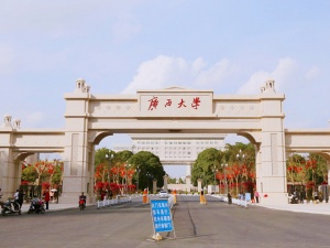 跳台上的助跑步:横县那阳大桥附近腾起浓烟 官方
