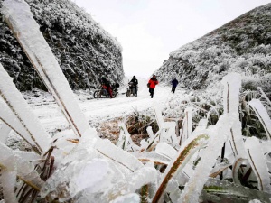 高清:環江萬畝草甸現霧凇景觀 宛若冰雪童話世界