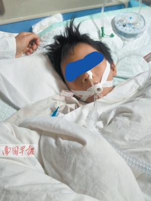 点击欣赏