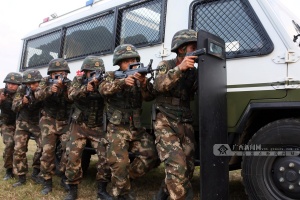 点击欣赏 点击欣赏