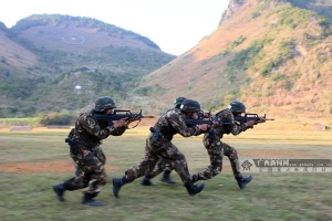 点击欣赏 点击欣赏