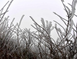 广西：寒潮袭来