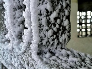 高清组图：百色出现冰冻雨雪天气 草木冻成冰柱